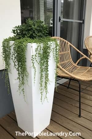 1. Modern Pedestal Planter with Cascading Vines