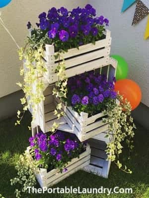 10. Whitewashed Crates with Purple Pansies and Ivy