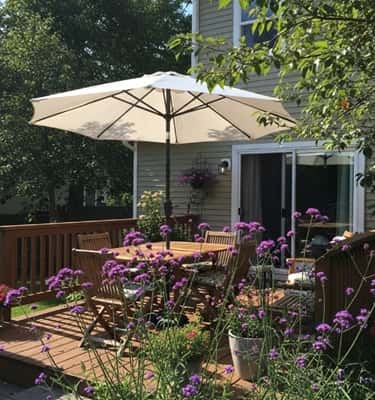 11. Purple Verbena Border Around a White Patio Umbrella