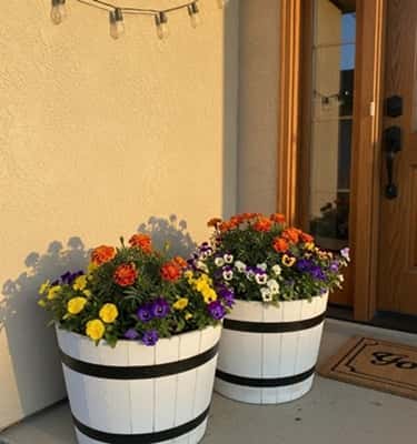 12. White Barrel Planters with Seasonal Flowers