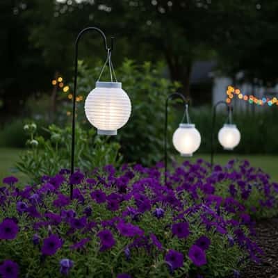 5. White Lanterns Hanging Over a Purple Petunia Patch
