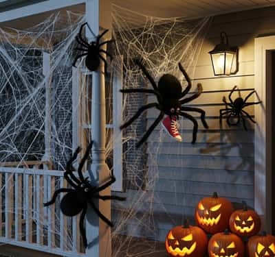 12. Climbing Spiders & Oversized Web Wall