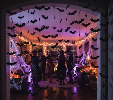 9. Curtain of Bats