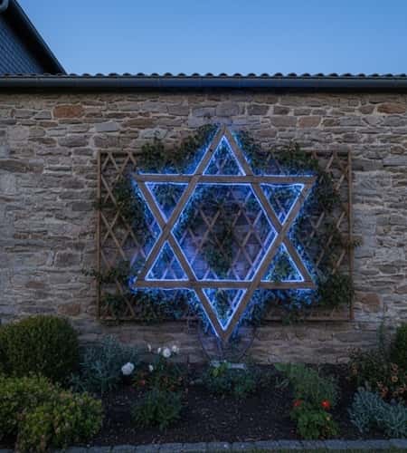 6. Vertical Star of David Trellis Garden with Climbing Lights