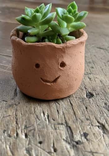 4. Simple Clay Planter Faces
