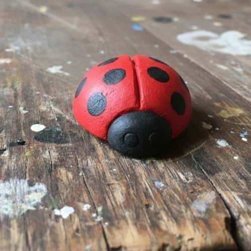 6. Clay Ladybug Dome