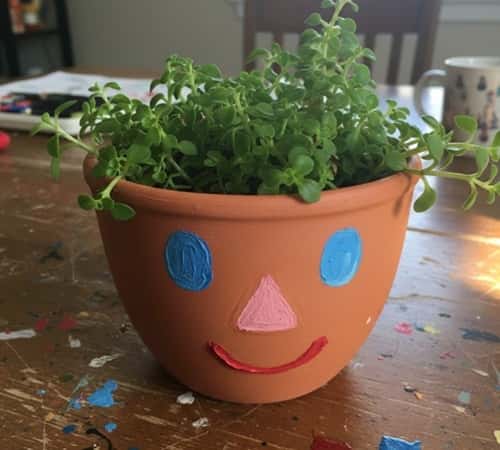 1. Clay Pot Face Planter (Cute + Slightly Silly)