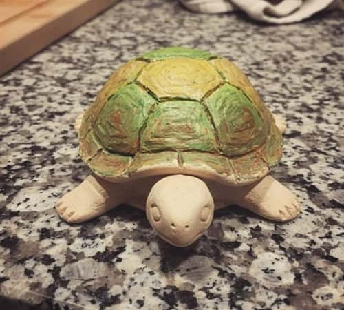 8. Fruit-Inspired Clay Turtle (Decor With Personality)