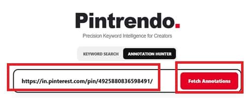 Paste the Pin URL in Pinterest Annotation Hunter