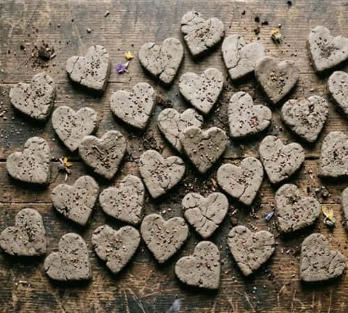 2. Heart Shaped Earth Day Seed Bombs