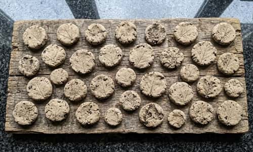 6. Leaf Imprint Seed Bombs