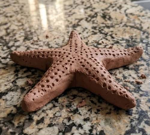 7. Clay Starfish