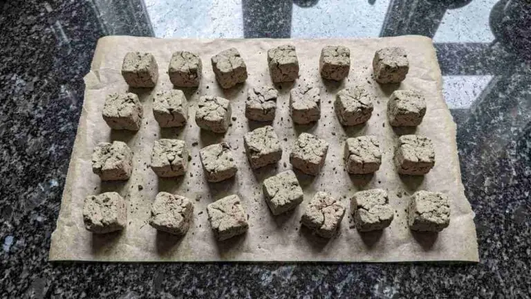 Air Dry Clay Seed Bombs For Earth Day - featured