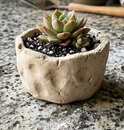 1. Mini Succulent Pinch Pot