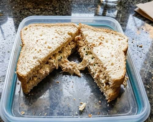 1. Quick Chicken Mayo Sandwich