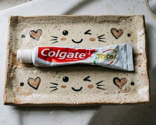 7. Kawaii Style Toothpaste Squeezer Plate