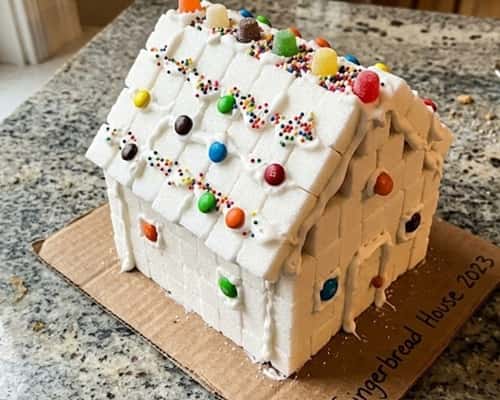 8. Sugar Cube Fairy House