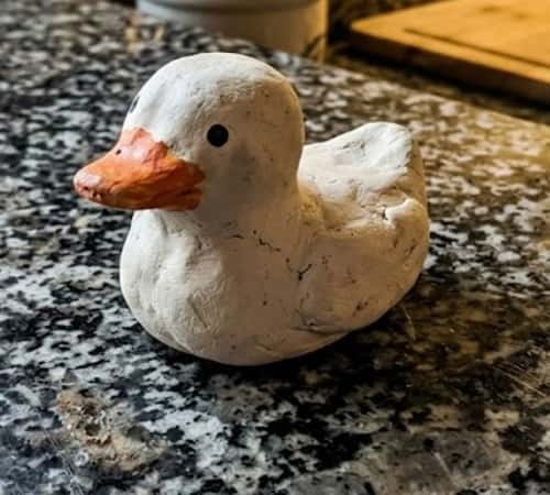 9. Muddy Little Duck with Rounded Beak