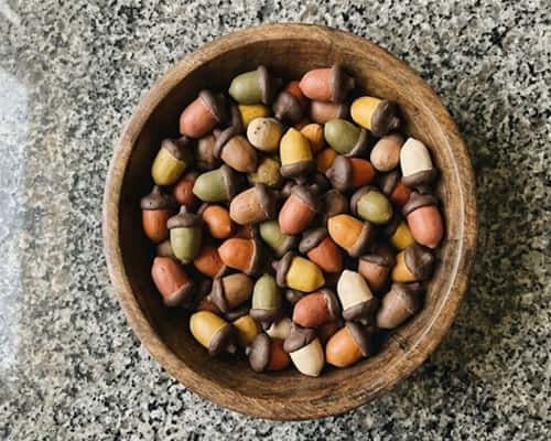 1. Woodland Storybook Acorn Bowl Fillers