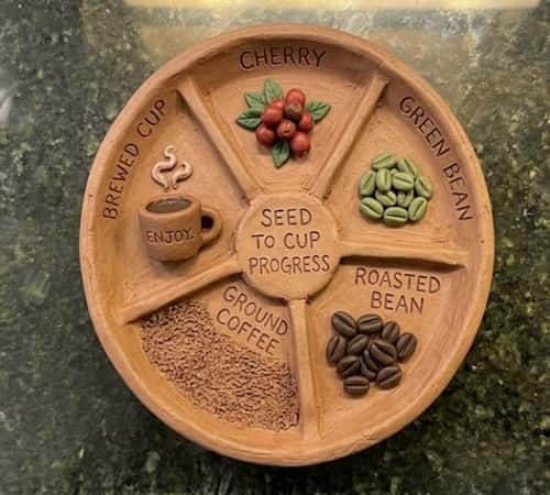 10. Coffee Bean Growth Tracker Dish