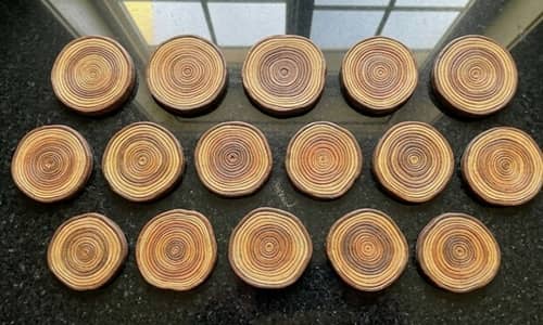10. Woodland Echo Stones