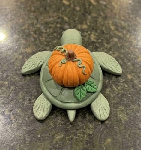 11. Pumpkin Shell Turtle