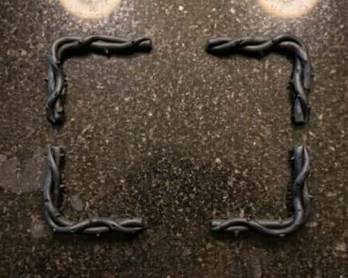 11. Thorn Vine Photo Frame Corners