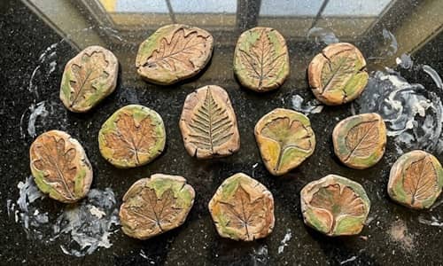 2. Pressed Leaf Story Stones