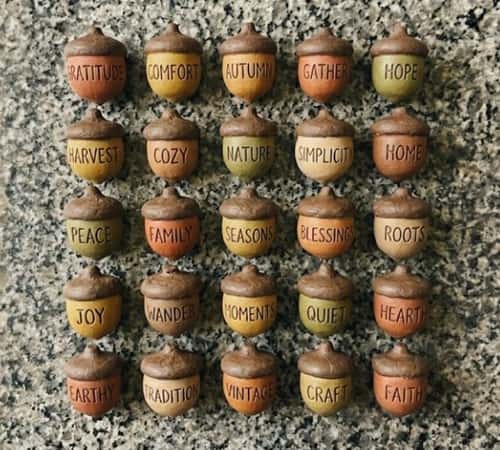 3. Acorn Memory Shelf Tokens