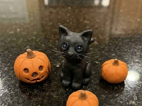 3. Pumpkin Patch Coraline Black Cat