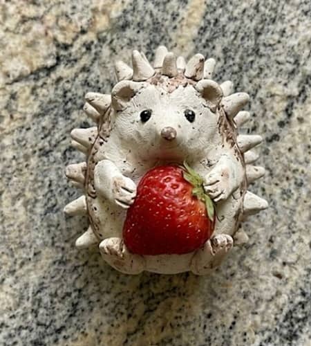 3. Strawberry-Loving Hedgehog