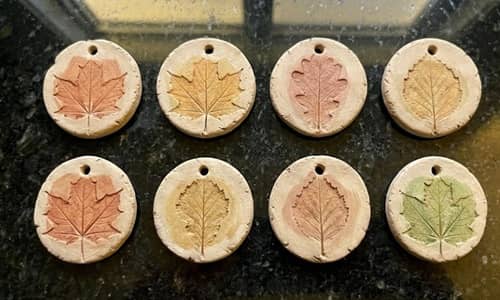 4. Leaf Vein Discovery Discs