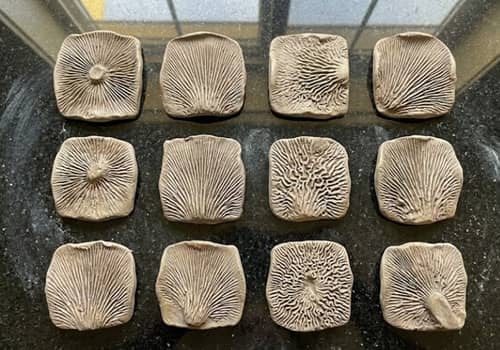 4. Mushroom Spore Trinket Tiles