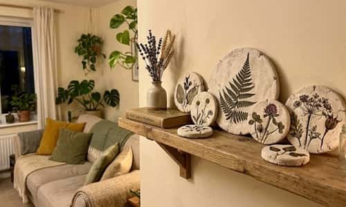 4. Wildflower Fossil Shelf Stones