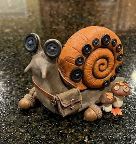 5. Harvest Moon Snail Messenger
