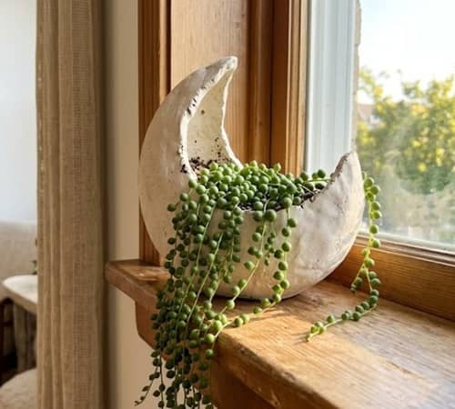 6. Crescent Moon Window Ledge Planter