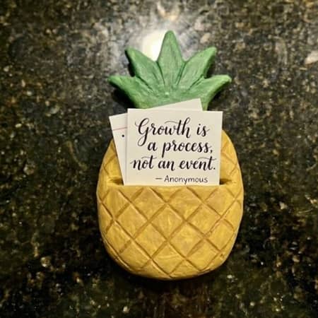 7. Pineapple Flashcard Holder