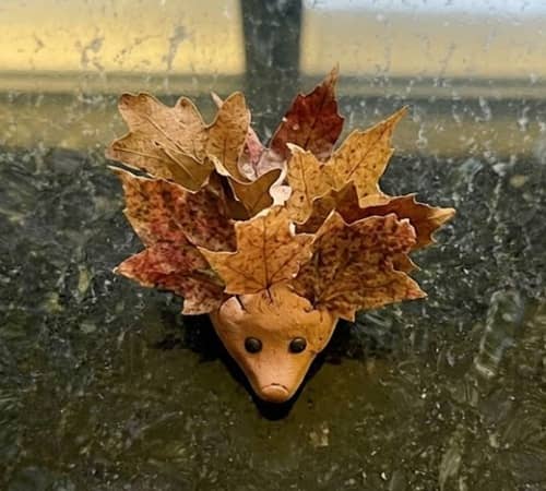 7. Tiny Hedgehog Leaf Carriers