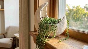Air Dry Clay Planter Ideas for Small Spaces - featured