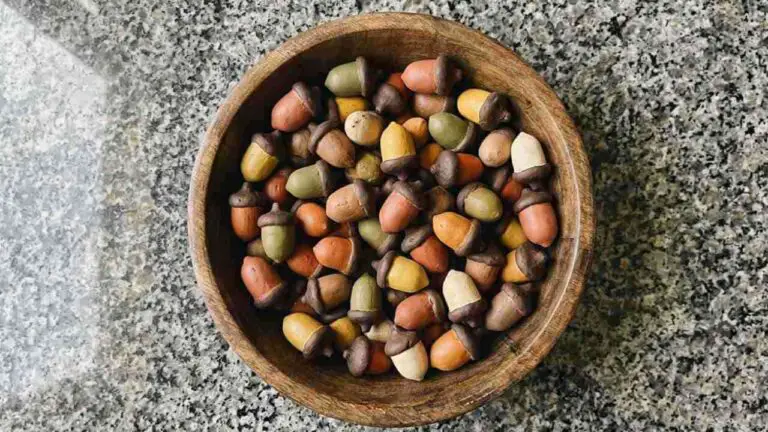 Clay Acorn Decor Ideas - featured