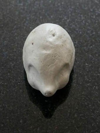Step 2 - Shape the Face and Snout