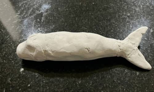Step 3 - Build the Tail