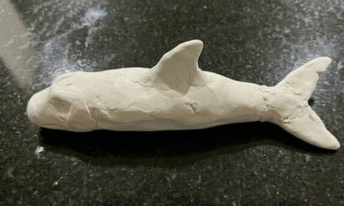 Step 4 - Add the Dorsal Fin