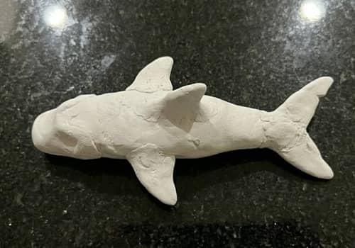 Step 5 - Create Side Fins