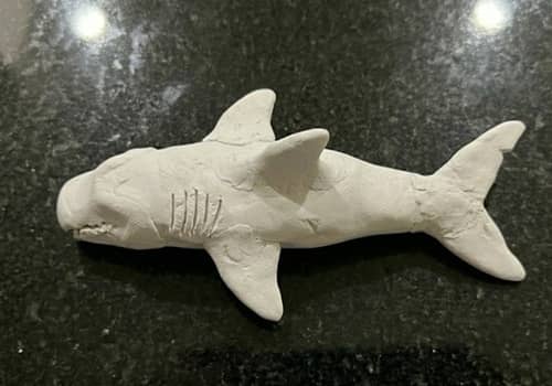 Step 6 - Define the Mouth and Gill Lines