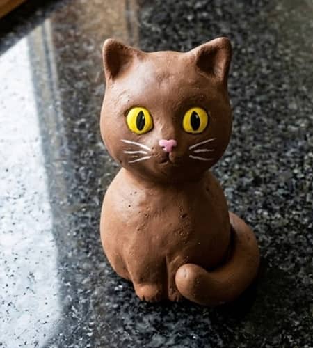 Step 6 - Paint The Cat