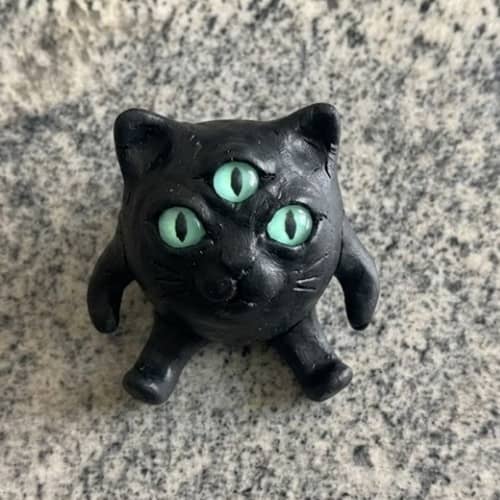 10. The Extraterrestrial Black Cat