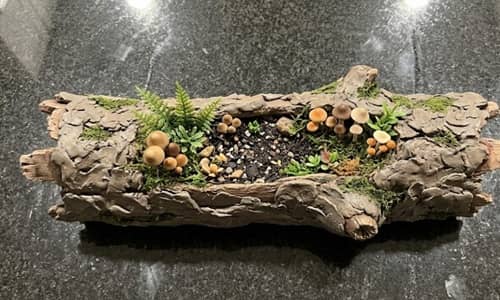 11. Rustic Fallen Oak Log Planter