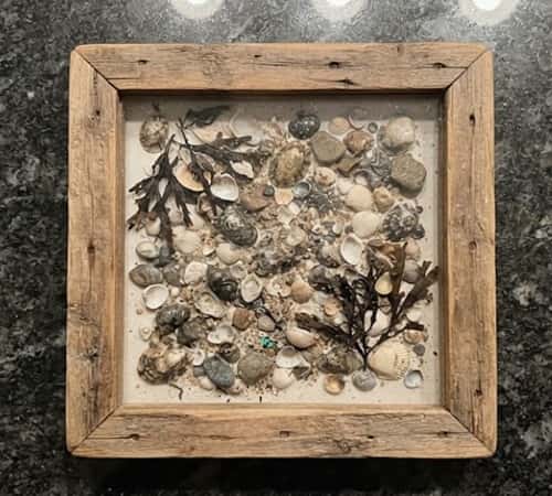 12. Pressed Beach Treasure Memory Frame