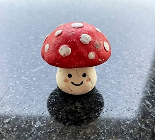 2. Smiling Mushroom Friend
